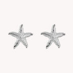 Broquel Estrella Mar PB043