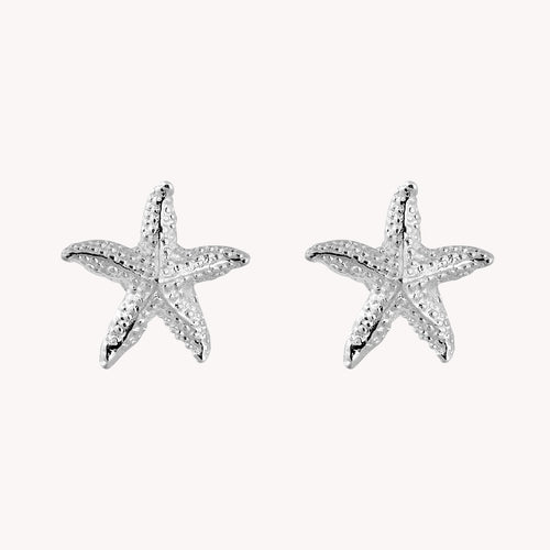 Broquel Estrella Mar PB043