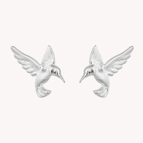 Broquel Colibrí PB048